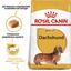 Сухой корм для взрослых собак породы Такса Royal Canin Dachshund Adult, 1,5 кг (3059015) - миниатюра 5