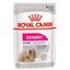 Вологий корм для дорослих собак Royal Canin Exigent вибагливих до харчування, з куркою, 85 г (1185001) - мініатюра 1