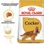 Сухий корм для дорослих собак породи Кокер спаніель Royal Canin Cocker Adult, 3 кг (3969030) - мініатюра 6