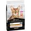 Сухой корм для взрослых кошек для поддержания здоровья кожи и красоты шерсти Purina Pro Plan Adult 1+ Derma Care, с лососем, 10 кг (12434317) - миниатюра 3