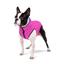 Курточка для собак AiryVest двухсторонняя, М 45, розовато-фиолетовая - миниатюра 2