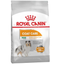 Сухий корм для собак малих порід з тьмяною та сухою шерстю Royal Canin Mini Coat Care, 3 кг (1220030) - мініатюра 1