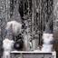 Дерево декоративное Yes! Fun с кристаллами 35 см серебро (974107) - миниатюра 2