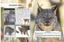 Фотоэнциклопедия Кристал Бук Мир вокруг нас Большие кошки (F00021260) - миниатюра 2