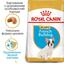 Сухий корм для цуценят породи Французький Бульдог Royal Canin French Bulldog Puppy, 3 кг (3990030) - мініатюра 4