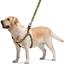 Шлея для собак Waudog Nylon Мілітарі, з QR паспортом, M, 50-80х2 см, оливковий - мініатюра 3