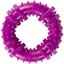 Игрушка для собак Agility кольцо с шипами 9 см фиолетовая - миниатюра 1
