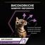 Вологий корм для кошенят Purina Pro Plan Kitten Healthy Start шматочки у підливці з індичкою 850 г (10 шт. х 85 г) - мініатюра 5