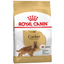 Сухой корм для взрослых собак породы Кокер спаниель Royal Canin Cocker Adult, 3 кг (3969030) - миниатюра 1