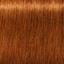 Перманентна фарба для сивого волосся Schwarzkopf Igora Royal Absolutes, відтінок 7-70 (середньо-русий мідний натуральний), 60 мл (2682024) - мініатюра 2