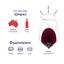Вино Most Wanted Aussie Shiraz, червоне, сухе, 13%, 0,75 л (775814) - мініатюра 3