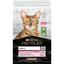 Сухой корм для кошек с чувствительным пищеварением Purina Pro Plan Delicate, с ягненком, 10 кг (12434335) - миниатюра 1