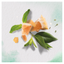Шампунь Herbal Essences Белый грейпфрут и мята, 400 мл - миниатюра 2