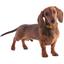 Ошейник для собак BronzeDog Barksi Classic Волна кожаный одинарный с золотым тиснением 23-30х1.2 см красный - миниатюра 6