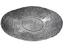 Салатник Lefard Вейв, 28 см, сірий (39-025) - мініатюра 2