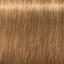 Перманентна фарба для сивого волосся Schwarzkopf Igora Royal Absolutes, відтінок 8-50 (світло-русий золотистий натуральний), 60 мл (2681816) - мініатюра 3