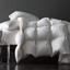 Одеяло пуховое MirSon Raffaello 053, двуспальное, 205x172, белое (2200000003645) - миниатюра 1