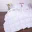 Одеяло пуховое MirSon Raffaello 061, 110х140 см, белое (2200000074980) - миниатюра 1