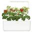 Сменный картридж Click & Grow Smart Garden Мини-томаты, 3 капсулы (7304) - миниатюра 4