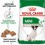 Сухий корм для собак віком від 8 до 12 років Royal Canin Mini Adult 8+, 4 кг (3002040) - мініатюра 4