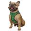 Шлея для собак Bronzedog Sport Vest Авокадо S 20х16х3 см зеленая - миниатюра 3