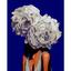 Картина за номерами ZiBi Art Line Квіти у волоссі 40х50 см (ZB.64225) - мініатюра 1