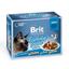 Набор влажных кормов для взрослых кошек Brit Premium Cat pouch Семейная тарелка в соусе, 1020 г (12 уп. х 85 г) - миниатюра 1