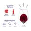 Вино плодове Katlenburger Чорничний глінтвейн, червоне, солодке, 1 л (532781) - мініатюра 2