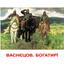 Набір карток Вундеркінд з пелюшок Шедеври художників, 20 карток, укр. мова (2100064097010) - мініатюра 2
