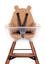 Подушка к стулу для кормления Childhome Evolu, бежевый мишка (CHEVOSCTB) - миниатюра 4