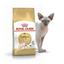 Сухий корм для дорослих котів породи сфінкс Royal Canin Sphynx Adult, з м'ясом птиці, 0,4 кг - мініатюра 1