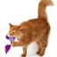 Іграшка для котів Barksi Пташка з дзвіночком і пір'ям 9х8 см фіолетова - мініатюра 6