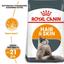 Сухий корм для кішок з проблемною шерстю Royal Canin Hair&Skin Care, з куркою, 0,4 кг (2526004) - мініатюра 2