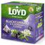 Чай фруктовий LoydBlackcurrant&Elderberry, Чорна смородина та Бузина, в пірамідках, 40 г - мініатюра 1