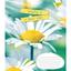 Зошит загальний 1 Вересня Summer Flowers, A5, в клітинку, 48 листів - мініатюра 2