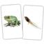 Набор Вундеркинд с пеленок Животные и детеныши, 15 пар карточек - миниатюра 1