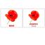 Набір карток Вундеркінд з пелюшок Квіти/Flowers, укр.-англ. мова, 20 шт. - мініатюра 1