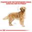 Сухий корм для дорослих собак породи Золотистий ретрівер Royal Canin Golden Retriever Adult, 3 кг (3970030) - мініатюра 3