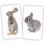 Набор Вундеркинд с пеленок Животные и детеныши, 15 пар карточек - миниатюра 3