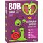 Фруктовые яблочно-сливовые конфеты Bob Snail 60 г - миниатюра 1