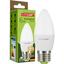 Світлодіодна лампа Eurolamp LED Ecological Series, CL 6W, E27, 3000K (LED-CL-06273(P)) - мініатюра 1