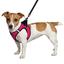 Шлея для собак Bronzedog Sport Vest L 26х20х3 см рожева - мініатюра 2
