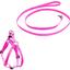 Комплект капроновый Lucky Pet: шлея 24-28х38-46х1 см + поводок, розовый - миниатюра 1