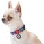Ошейник для собак Waudog Nylon Фиолетовый камо, c QR паспортом, пластиковый фастекс, 31-49х2,5 см - миниатюра 5