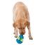 Игрушка-кормушка для собак Trixie Roly poly Snack egg, 13см (34951) - миниатюра 10