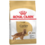 Сухий корм для дорослих собак породи Кокер спаніель Royal Canin Cocker Adult, 3 кг (3969030) - мініатюра 1