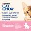 Сухой корм для котят Cat Chow Kitten с курицей 15 кг - миниатюра 6