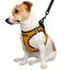Шлея для собак Bronzedog Sport Vest XXXS 13х11х3 см оранжевая - миниатюра 3
