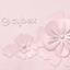 Люлька Cybex Priam Lux Simply flowers pink + Комплект текстилю Cybex Priam Simply flowers pink + Шасі Cybex Priam з каркасом LS RBA Matt Black - мініатюра 5