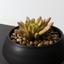 Горшок с искусственным растением МВМ My Home, 9 см, черный (DH-FLOWERS-18 GREEN/BLACK) - миниатюра 4